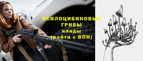 бошки Алексеевка