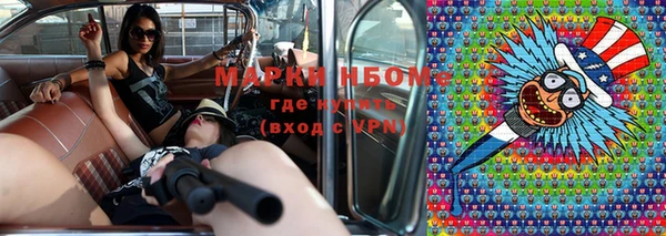 метадон Алексин