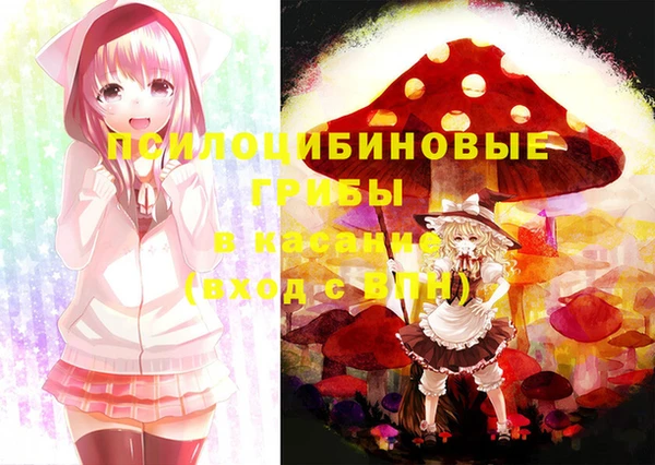 бошки Алексеевка