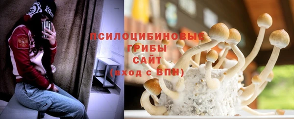 метадон Алексин