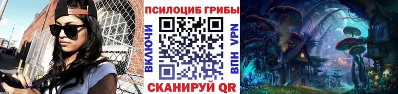 shop телеграм Юрьев-Польский Галлюциногенные грибы Magic Shrooms
