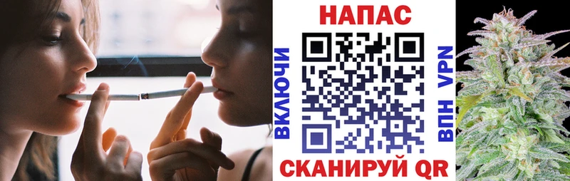 Бошки марихуана THC 21%  цены наркотик  Юрьев-Польский 